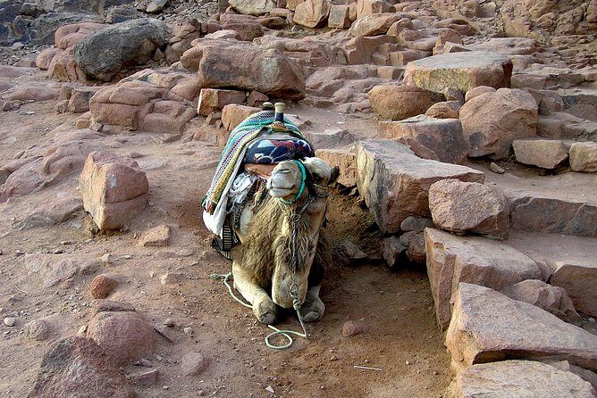 Sunrise at Mt.Sinai and St.Catherine monastery. Entrance included - Authentic Experiences and Tips from Travelers