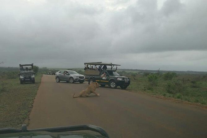 Sunrise Safari - Final Thoughts: Who Should Consider the Sunrise Safari?
