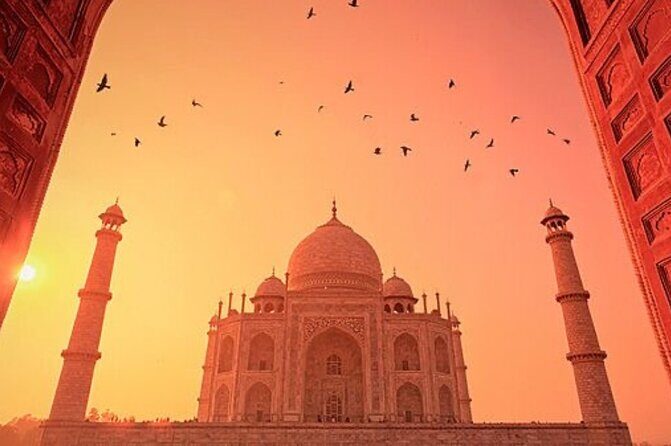 Sunrise Taj Mahal & Agra Fort Private Tour from Delhi  Inclusive - Authentic Experiences & Real Traveler Feedback