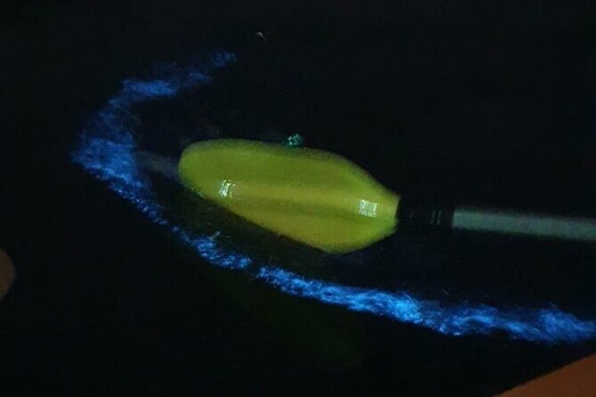 Sunset & Bioluminescent Plankton Kayaking Lan Ha bay - A Detailed Look at What the Tour Offers