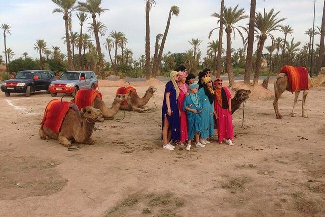 Sunset Camel Ride In Marrakech Palm Grove - The Value of This Experience