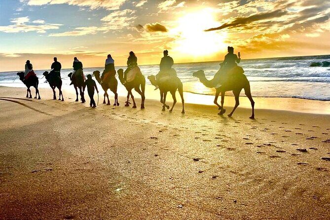 Sunset Camel Ride on Achakkar Beach including Traditional Dinner - Practical Details and Tips