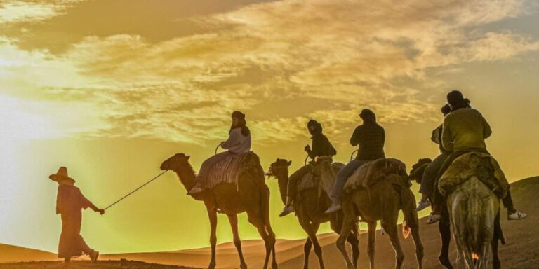 Sunset Camel Ride with an Authentic Dinner in an Oasis - What’s Included and What to Consider