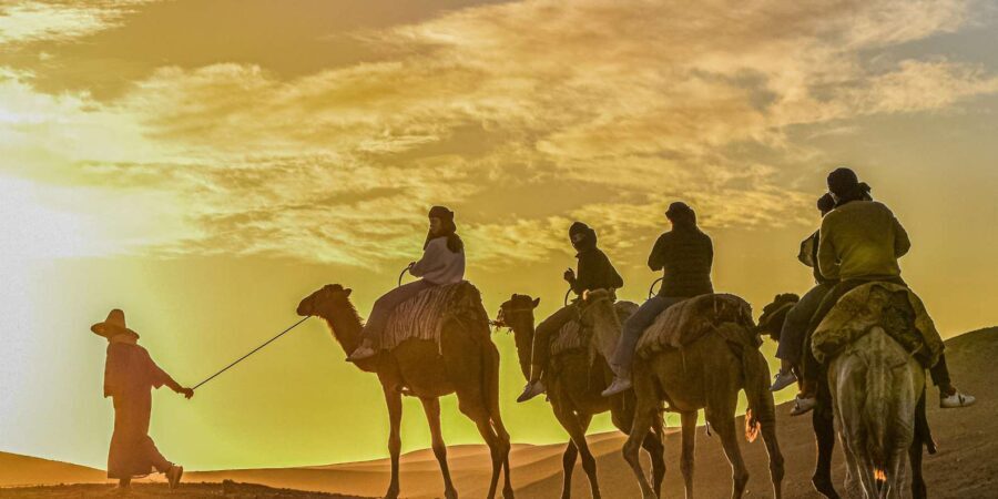 Sunset Camel Ride with an Authentic Dinner in an Oasis - What’s Included and What to Consider