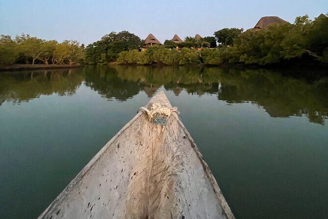 Sunset Canoe Tour on a River within the Mangroves - Why This Tour Matters: Value and Authenticity