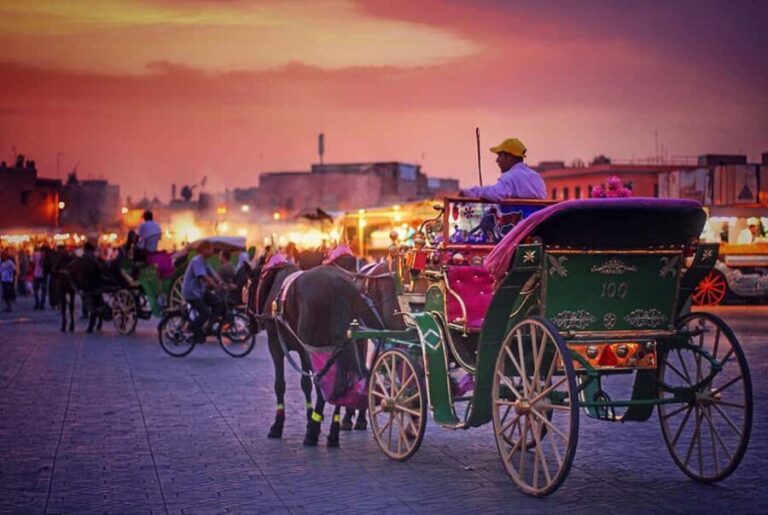 Sunset City Tour : Souks & Medina with Caleche by Night - The Carriage Ride: A Scenic View of Marrakech at Night