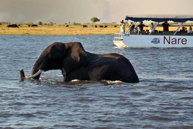 Sunset Cruise on Chobe River with Hotel Pickup from Kasane - The Sum Up