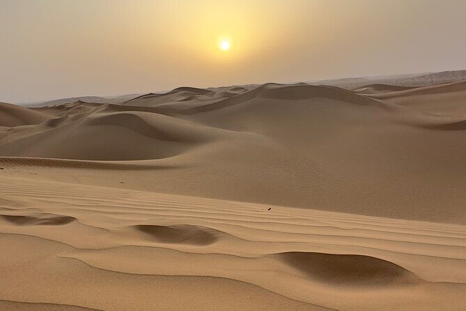 Sunset desert safari Salalah with Dinner in a Bedouins camp - Analyzing the Value