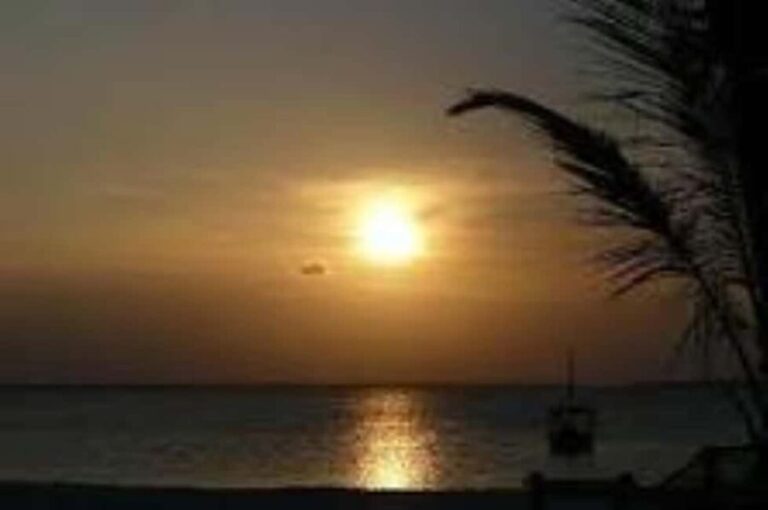 sunset dow cruise at kendwa beach - What Makes This Tour Worth Considering?