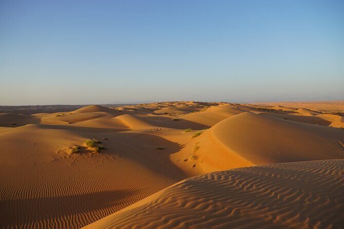 Sunset in Wahiba Sands 4x4 Adventure - Dune Bashing: A Heart-Racing Adventure