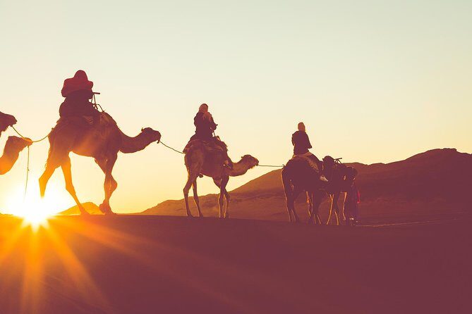 Sunset or Sunrise Camel ride in the Sahara Desert of Douz - Introduction