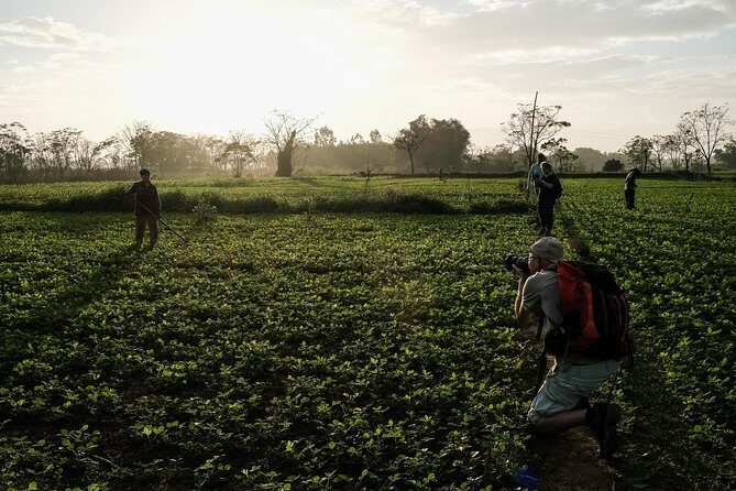 Sunset photo tour with the farmers - The Sum Up