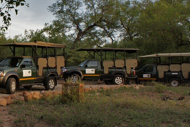 Sunset Safari of Kruger National Park - Final Thoughts: Is This Safari Worth It?