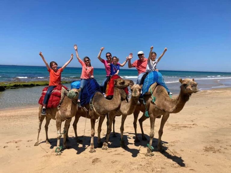 Sunset with Camel ride in Tangier ends with walking tour - The Scenic Sunset