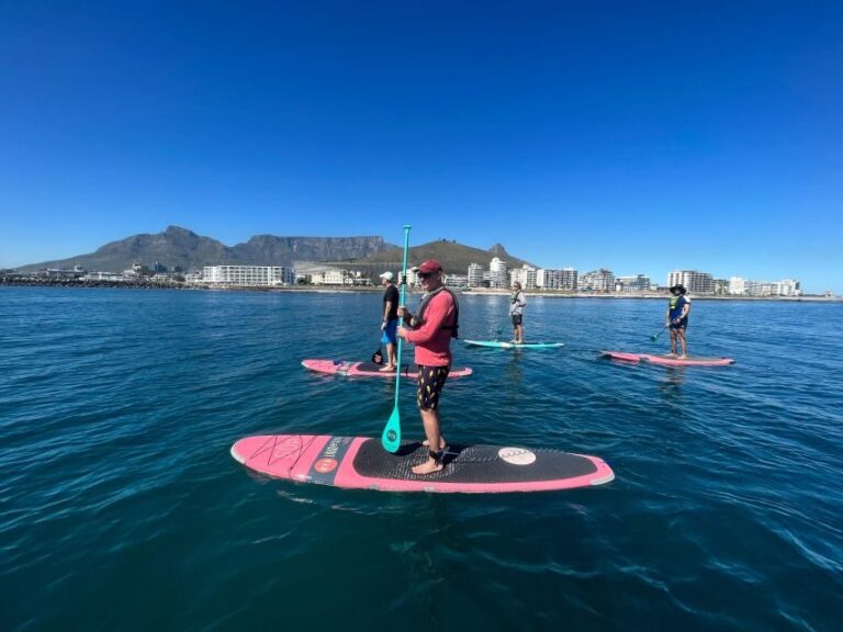 SUP Ocean Tour - Practical Tips for Your Paddleboarding Adventure