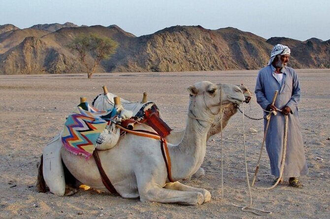 Super Moto Safari Sharm-el-Sheikh - A Closer Look at the Itinerary
