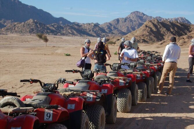 Super Safari Quad Bike Jeep Safari Buggy and Dinner in Hurghada - Practicalities and Value