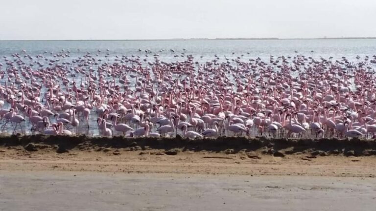 Swakopmund 2 Days Tour - Shared Shuttle - Who Will Love This Tour?