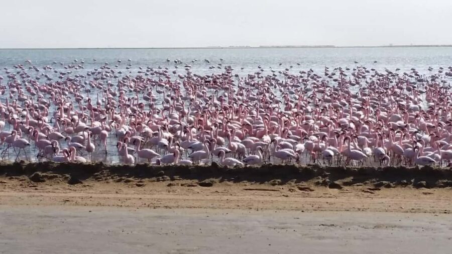 Swakopmund 2 Days Tour - Shared Shuttle - Who Will Love This Tour?