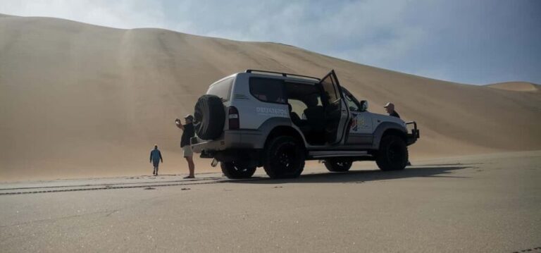 swakopmund city tour dune 7 pink lake pink flamingos - The Salt Works and Natural Wonders