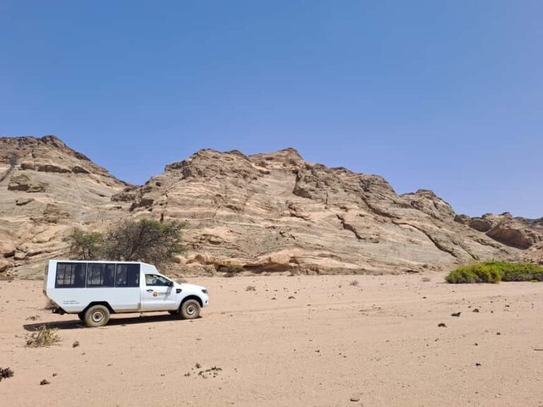 Swakopmund: Moon Valley and Namib Desert Welwitschia Tour - The Value of This Experience