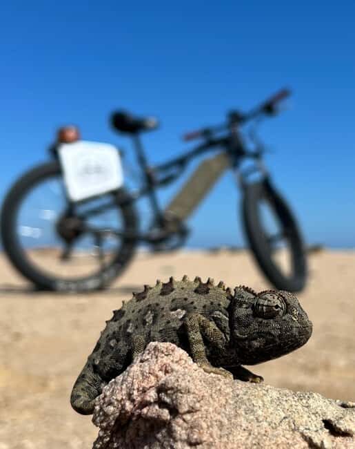 Swakopmund: "UP CLOSE" Living Desert E-FatBike Tour - FAQs