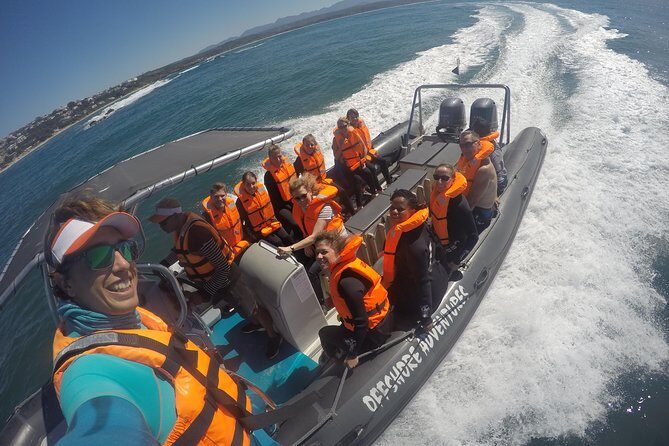 Swim with Seals - Authentic Experiences and Traveler Insights