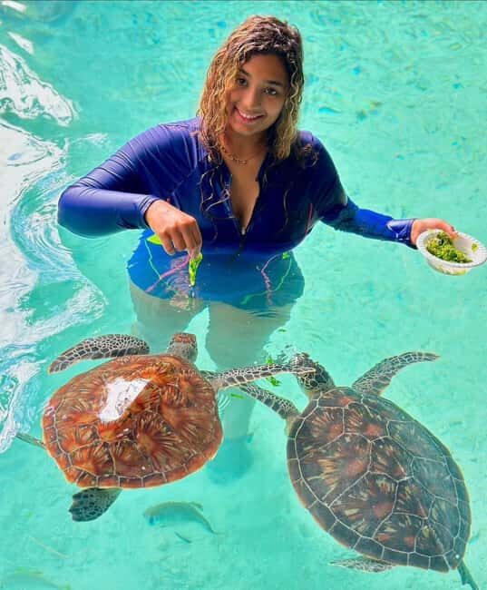Swim with turtles at Salaam cave & The rock restaurant visit