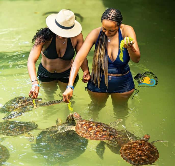 Swim with Turtles at The Lagoons Zanzibar & Stone Town Tour - Who Will Love This Tour?