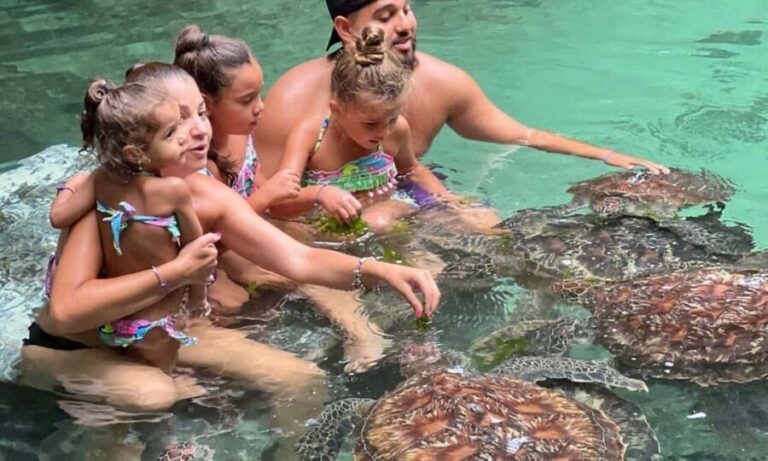 Swimming With Turtle at Baraka aquarium - The Experience Itself