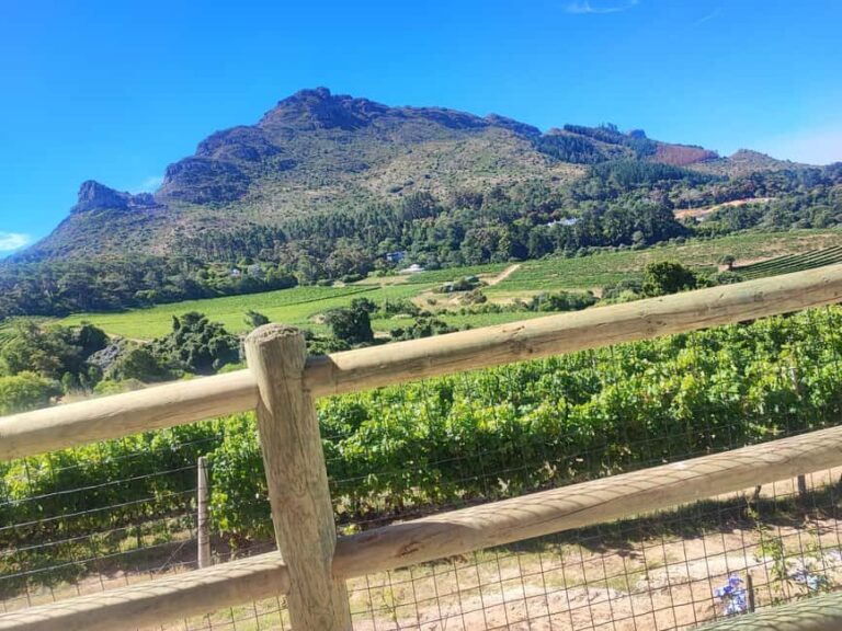 Table Mountain and Constantia Wine Tasting Private Tour - Who Should Consider This Tour?