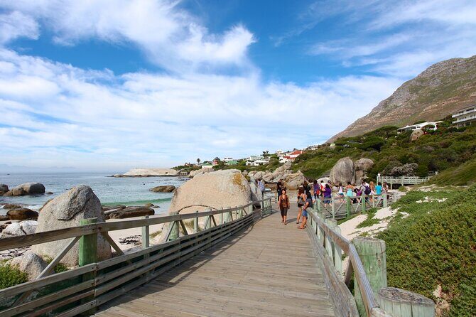 Table Mountain Boulder's Beach and Cape Point - What the Tour Offers in Value and Experience