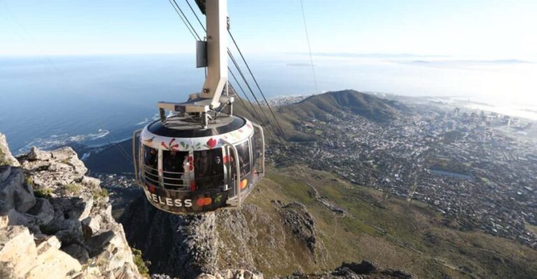 Table Mountain Boulder's Beach and Cape Point - Balancing Cost and Value