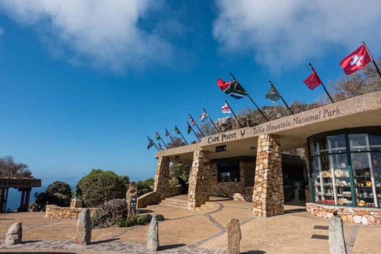 Table Mountain, Cape of Good Hope & Penguins Shared Tour - Authentic Experiences Based on Reviews