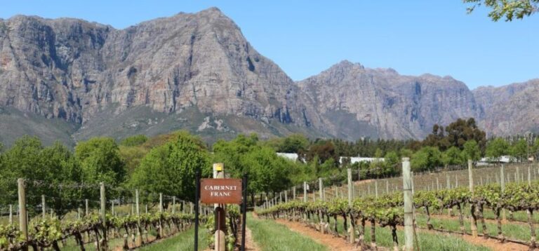Table Mountain & Constantia Wine Estate Private Combo Tour - What’s Included and What’s Not