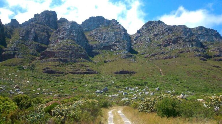 Table Mountain: Easy walk for the Whole Family - PRIVATE - What Makes This Tour Stand Out
