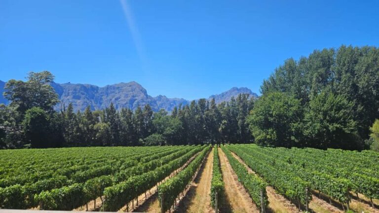 Table Mountain, Historic City & Winelands Private Day Tour. - A Deep Dive into the Experience