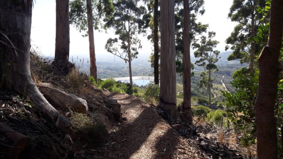Table Mountain: Mountain Biking to Constantia Wine Estate - Key Points