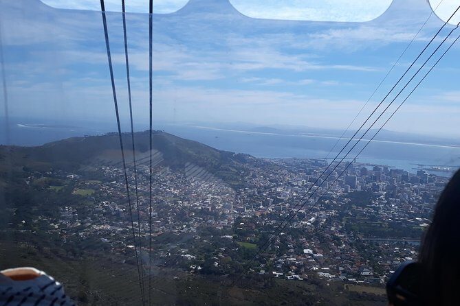 Table Mountain, penguin and Cape of good hope Fees included - The Experience and Guides: What Guests Say