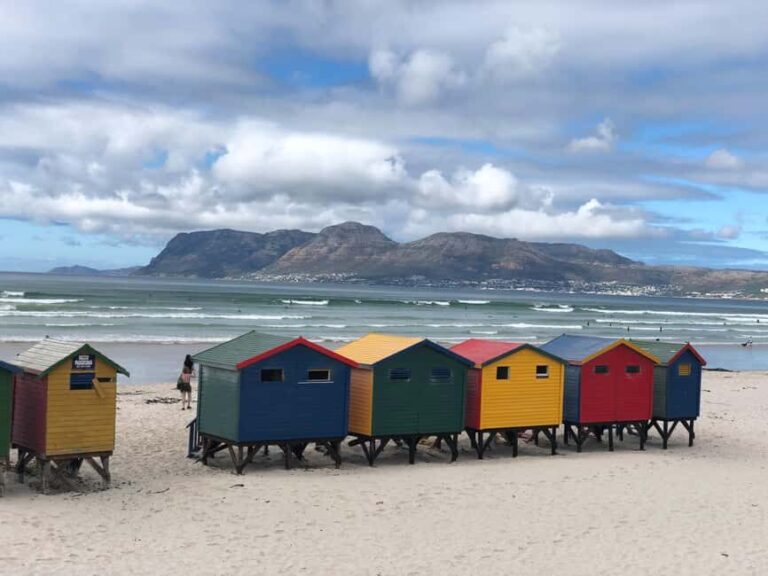 Table Mountain Penguin Colony & Cape Point Incl. Park Fees - Exploring the Full-Day Cape Peninsula Experience