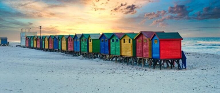 Table Mountain, Penguins & Cape of good hope full day Tour - A Deep Dive Into the Tour