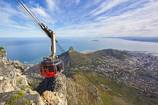 Table Mountain, Penguins Colony and Cape of Good Hope Small Group Shared Tour - What Travelers Say