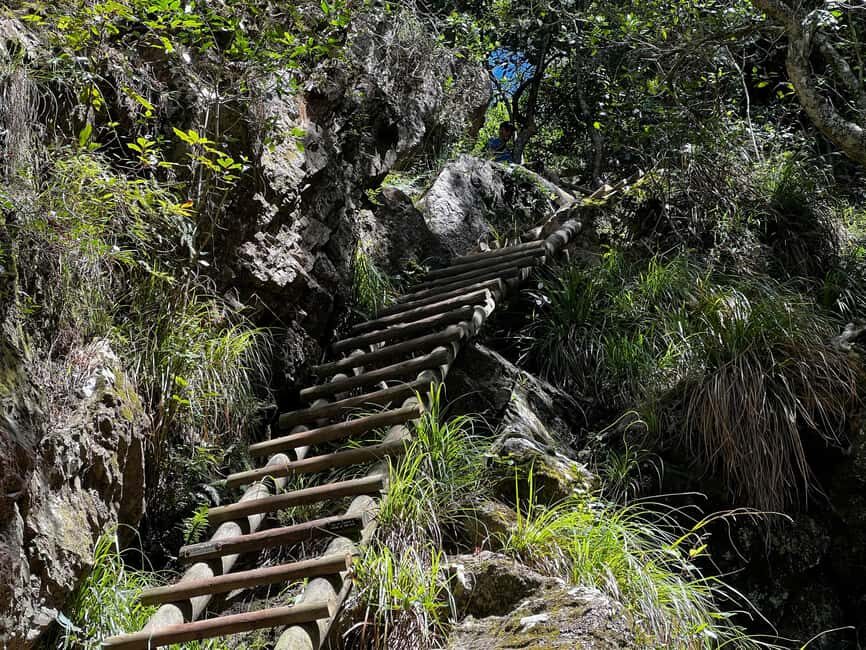Table Mountain: Skeleton Gorge Hike - Authentic Experiences and Opinions