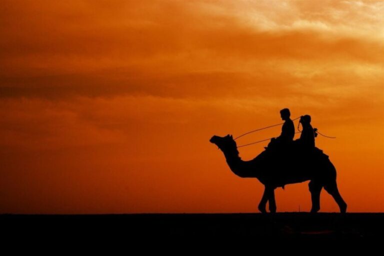 Taghazout Sunset Camel Ride - A Detailed Look at the Taghazout Sunset Camel Ride