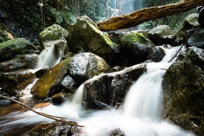 Tai Mo Shan Waterfall Adventure Hike - FAQ