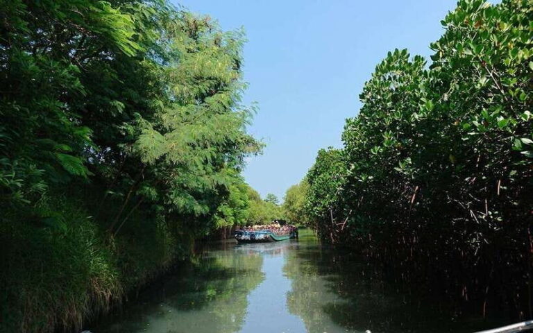 Tainan: Sicao Green Tunnel Scenic Boat Ride - Authenticity and Traveler Feedback