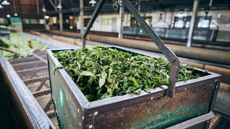 Taipei: Daxi Old Street and Tea Factory, Xiaowulai Day Tour - Transportation and Practical Considerations