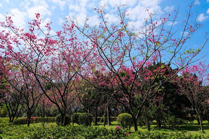 Taipei Timeout: Private 8-Hour Layover Adventures - Who Will Love This Tour?