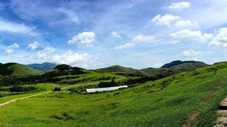 Taipei: Yangmingshan National Park Half-Day Tour - The Value of a Guided Tour