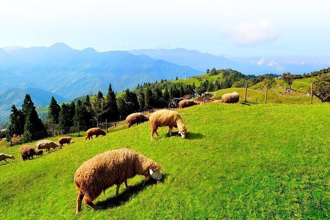 Taiwan Multi-Day Classic Tour - A Closer Look at the Itinerary